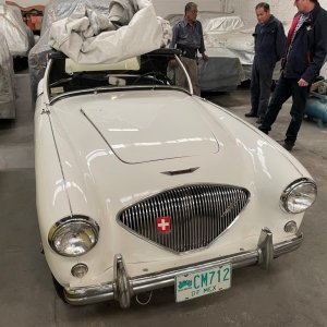 1953 Austin Healey 100, Navari, 2022 (5).JPG